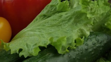 Tahta arka planda taze sebzeler