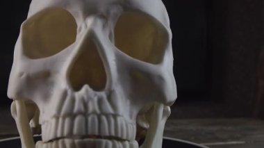 Dönen bir ayakta duran gerçekçi insan kafatası