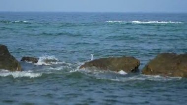 Deniz dalgaları. Yukarıdan görüntüle