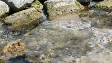 Lağım denize akıyor.