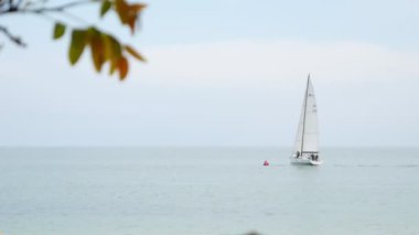 Eğlence yatı deniz kıyısında bir gezintiye çıkıyor.