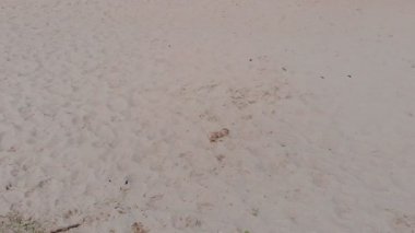 Deniz dalgaları. Yukarıdan görüntüle