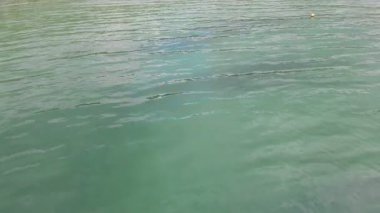 Deniz dalgaları. Yukarıdan görüntüle