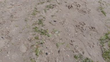 Deniz dalgaları. Yukarıdan görüntüle