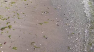 Deniz dalgaları. Yukarıdan görüntüle