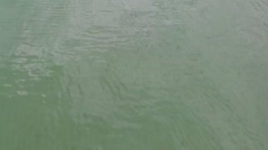 Deniz dalgaları. Yukarıdan görüntüle