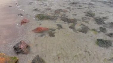 Deniz dalgaları. Yukarıdan görüntüle