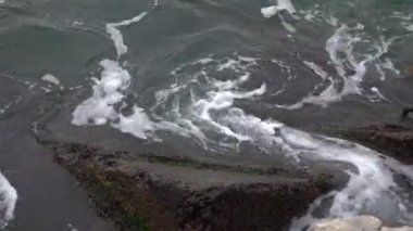 boş deniz plaj Güz