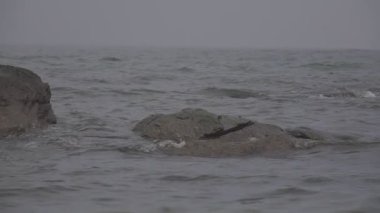 boş deniz plaj Güz