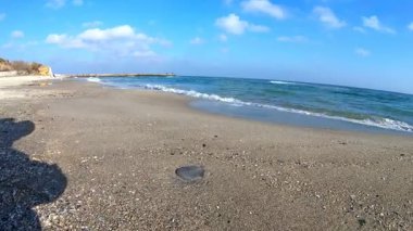 boş deniz plaj Güz