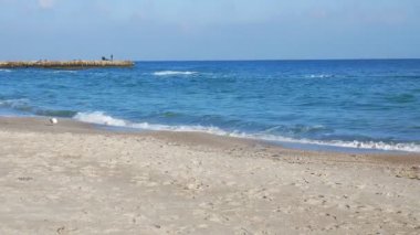 boş deniz plaj Güz