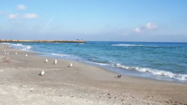 boş deniz plaj Güz