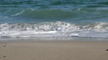 boş deniz plaj Güz