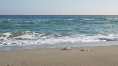 Deniz kıyısındaki dalgalar