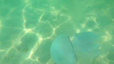 Sudan deniz yüzeyinin görüntüsü 