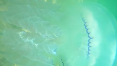 Sudan deniz yüzeyinin görüntüsü 