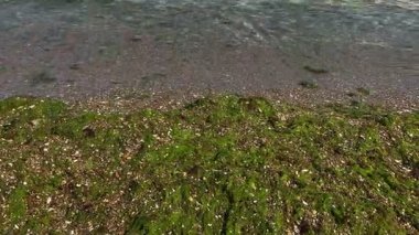 Deniz kıyısında dalgalar