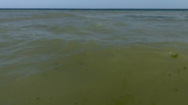 Deniz kıyısında dalgalar