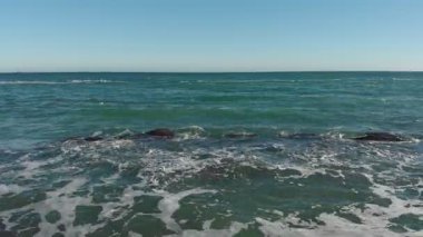 Sonbaharda deniz sahili. Hava görünümü