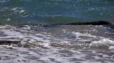 Deniz kıyısında dalgalar