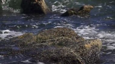 Deniz kıyısında dalgalar