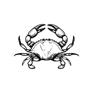 Yengeç simgesi beyaz arkaplanda izole edildi. Logo, etiket, amblem ve işaret için tasarım elemanları. Vektör illüstrasyonu