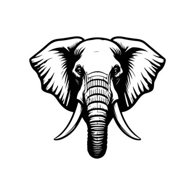 Fil kafası tasviri. Logo, işaret, poster ve amblem için tasarım elemanı. Vektör illüstrasyonu