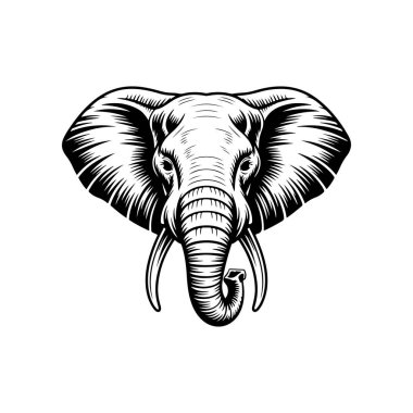 Fil kafası tasviri. Logo, işaret, poster ve amblem için tasarım elemanı. Vektör illüstrasyonu