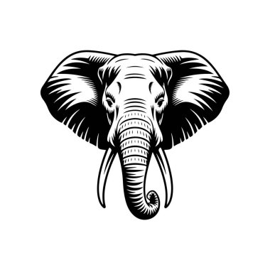 Fil kafası tasviri. Logo, işaret, poster ve amblem için tasarım elemanı. Vektör illüstrasyonu