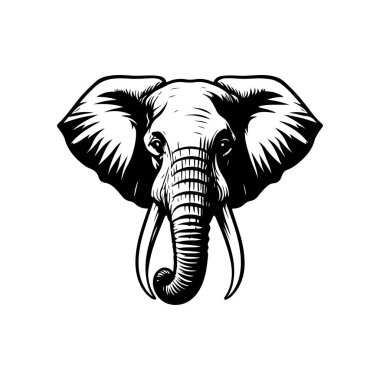 Fil kafası tasviri. Logo, işaret, poster ve amblem için tasarım elemanı. Vektör illüstrasyonu