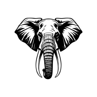 Fil kafası tasviri. Logo, işaret, poster ve amblem için tasarım elemanı. Vektör illüstrasyonu