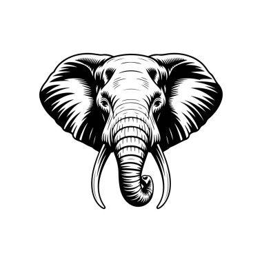 Fil kafası tasviri. Logo, işaret, poster ve amblem için tasarım elemanı. Vektör illüstrasyonu