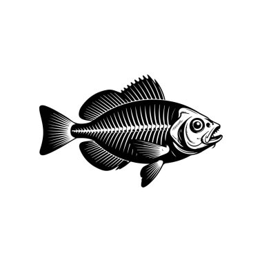 Beyaz arka planda izole edilmiş balık iskeleti tasviri. Amblem, işaret, rozet için tasarım elemanı. Vektör illüstrasyonu