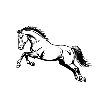 Koşan bir atın siyah beyaz çizimi. Bir atın tek renkli görüntüsü. Logo, işaret, poster ve amblem için tasarım elemanı. Vektör illüstrasyonu
