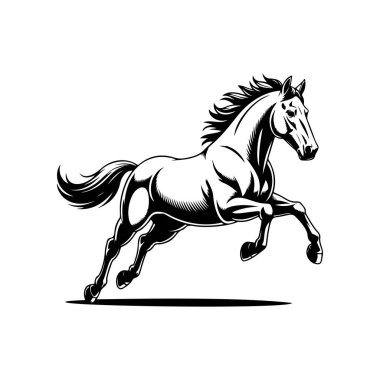 Koşan bir atın siyah beyaz çizimi. Bir atın tek renkli görüntüsü. Logo, işaret, poster ve amblem için tasarım elemanı. Vektör illüstrasyonu