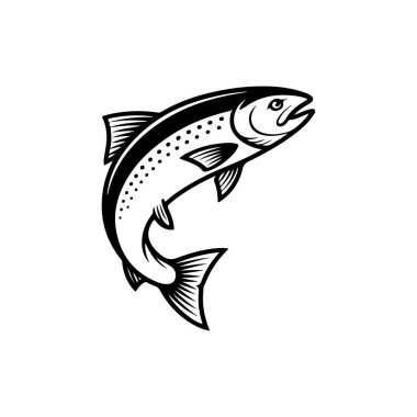 Beyaz arka planda izole edilmiş somon balığı tasviri. Amblem, işaret, poster, rozet tasarımı. Vektör illüstrasyonu