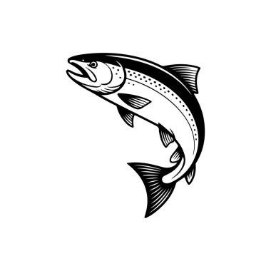 Beyaz arka planda izole edilmiş somon balığı tasviri. Amblem, işaret, poster, rozet tasarımı. Vektör illüstrasyonu