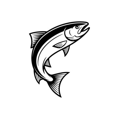 Beyaz arka planda izole edilmiş somon balığı tasviri. Amblem, işaret, poster, rozet tasarımı. Vektör illüstrasyonu