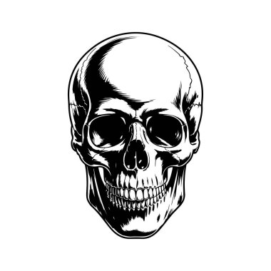 Bir insan kafatasının detaylı bir siyah-beyaz vektör çizimi, doğrudan görülüyor. Eserde, beyaz üzerine izole edilmiş kabartma veya dövme tarzında yüksek kontrastlı gölgeleme yer alıyor..