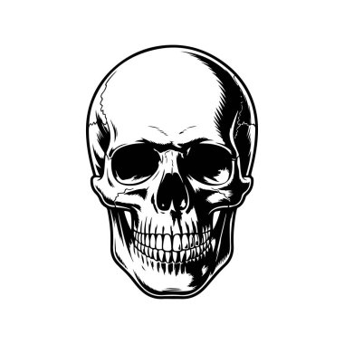 Bir insan kafatasının detaylı bir siyah-beyaz vektör çizimi, doğrudan görülüyor. Eserde, beyaz üzerine izole edilmiş kabartma veya dövme tarzında yüksek kontrastlı gölgeleme yer alıyor..