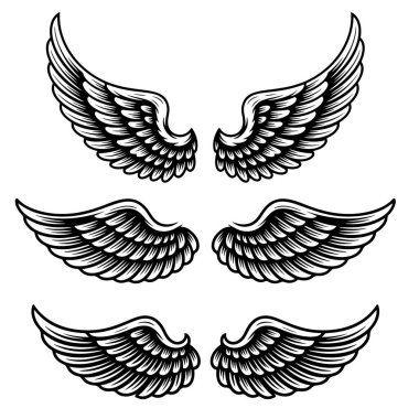 Beyaz arka planda izole edilmiş kuş kanatları. Logo, etiket, amblem ve işaret için tasarım elemanları. Vektör illüstrasyonu