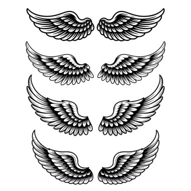 Beyaz arka planda izole edilmiş kuş kanatları. Logo, etiket, amblem ve işaret için tasarım elemanları. Vektör illüstrasyonu