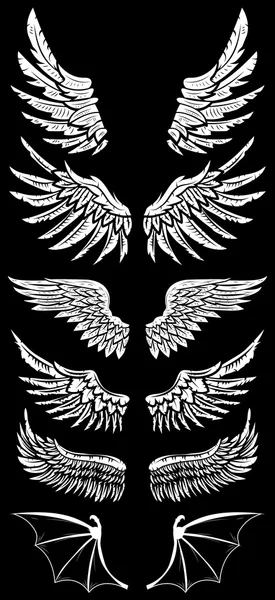 Ensemble d'ailes — Image vectorielle