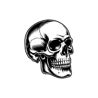 Hisse tasarımı için gerçekçi gölgeleme ve çizgi çalışmaları içeren, anatomik olarak doğru bir insan kafatasının siyah ve beyaz vektör çizimi.