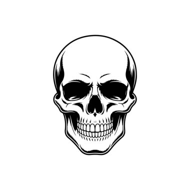 Tam diş yapısı ve tanımlanmış kemik hatlarına sahip bir insan kafatasının son derece detaylı çizimi. Dövme sanatı, gotik veya anatomik temalar için ideal grafik.