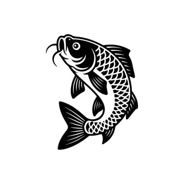 Sazan balığının cesur bir siyah beyaz vektör çizimi. Tasarım, detaylı pulları ve beyaz arka planda uzun barbelleri olan kıvrımlı, dinamik bir poziyona sahiptir..