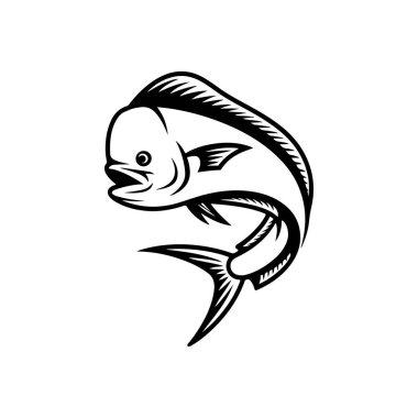 Mahi-mahi balığının dinamik siyah-beyaz vektör çizimi. Yüksek kontrastlı minimalist tarzda belirgin düz başı ve uzun sırt yüzgeci var..