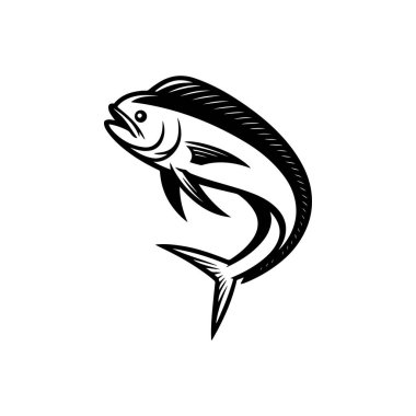 Mahi-mahi balığının dinamik siyah-beyaz vektör çizimi. Yüksek kontrastlı minimalist tarzda belirgin düz başı ve uzun sırt yüzgeci var..