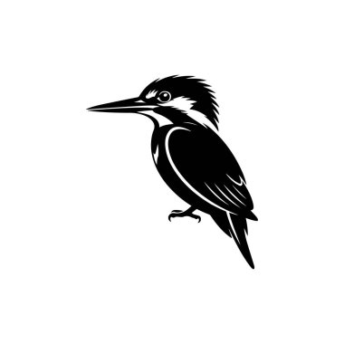 Kralbalıkçıl bir kuşun cesur siyah beyaz vektör silueti tünemişti. Bu yüksek kontrastlı doğa grafiği beyaz arka planda kuşun keskin gagasını ve parlak profilini gösteriyor..