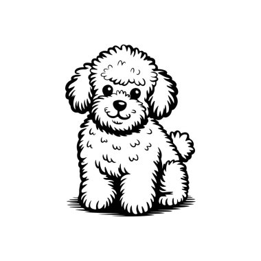 Şirin, siyah beyaz çizgili, pofuduk bir Maltipoo yavrusunun resim çizimi. Bu basit, büyüleyici karikatür tarzı grafik beyaz bir arkaplanda izole edilmiştir..